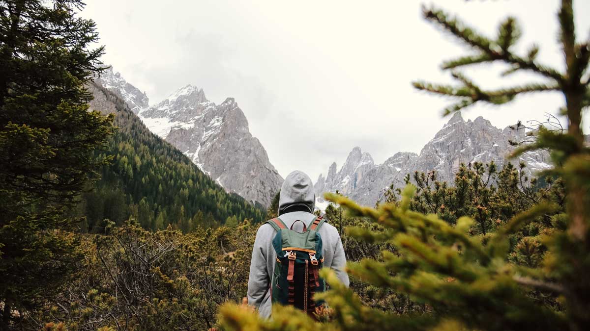 Person mit Rucksack mit Blick auf verschneite Berge, umgeben von Bäumen und Grünflächen.